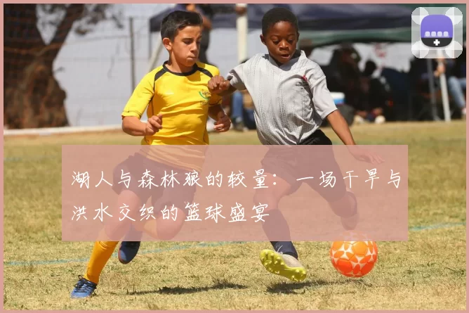 湖人与森林狼的较量：一场干旱与洪水交织的篮球盛宴